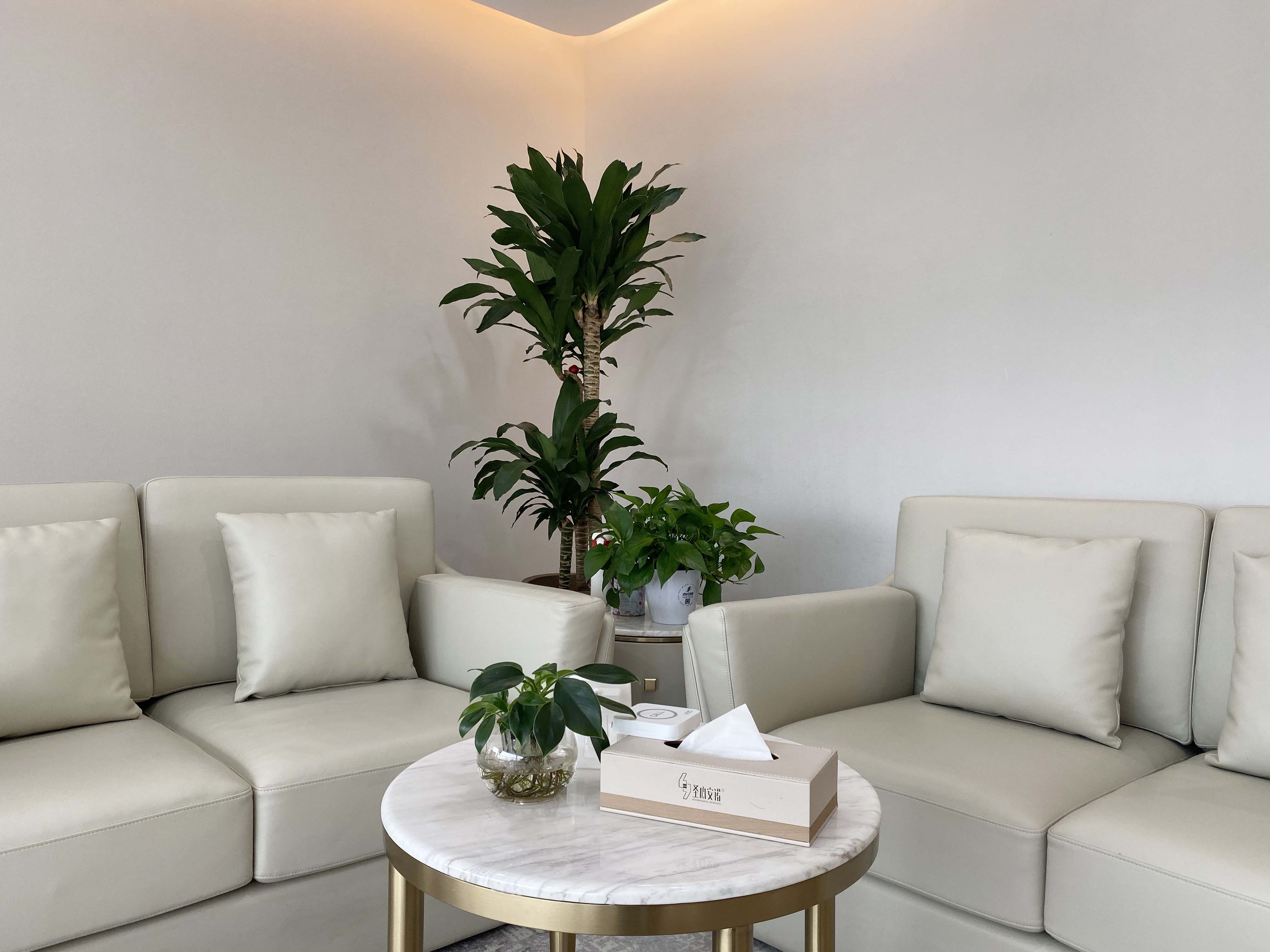 西安青少年心理咨询:孩子在家好好的,一上学就各种不舒服?警惕“心理问题躯体化”!